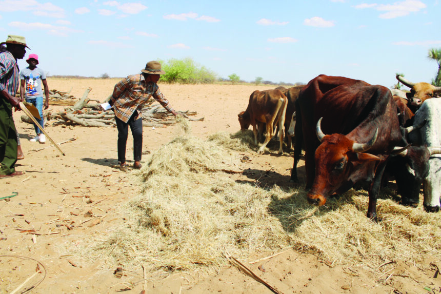 Namundjebo-Tilahun donates to farmers