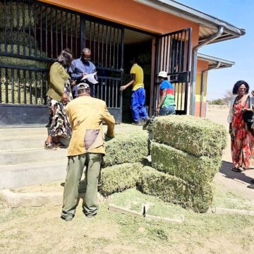 Ovitoto farmers receive free lucerne