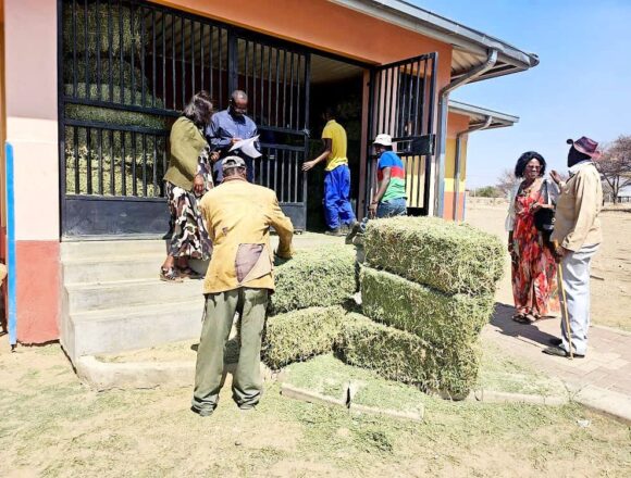 Ovitoto farmers receive free lucerne