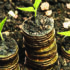 Seed Capital Fund aims to empower entrepreneurs