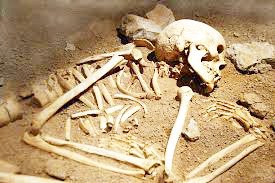 Ombila yoonakulwa aakulu ya fumvuka mOkongo