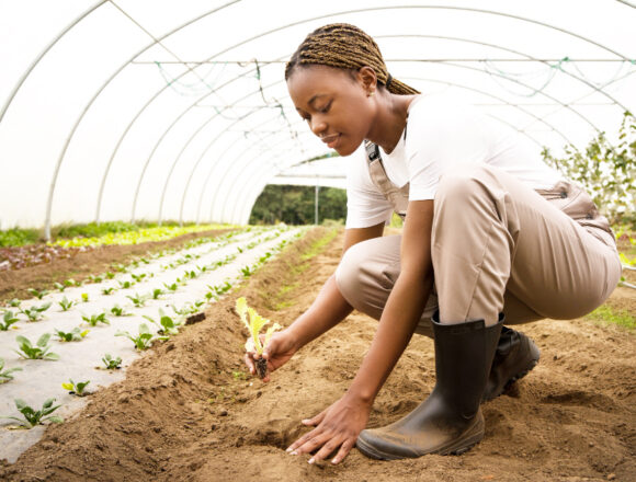 Bank Windhoek’s Agri Series offers practical solutions