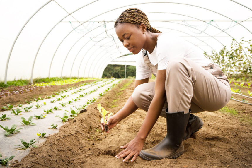 Bank Windhoek’s Agri Series offers practical solutions