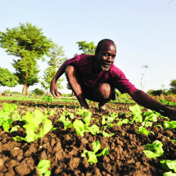 Bank Windhoek’s Agri Series to tackle drought impact 