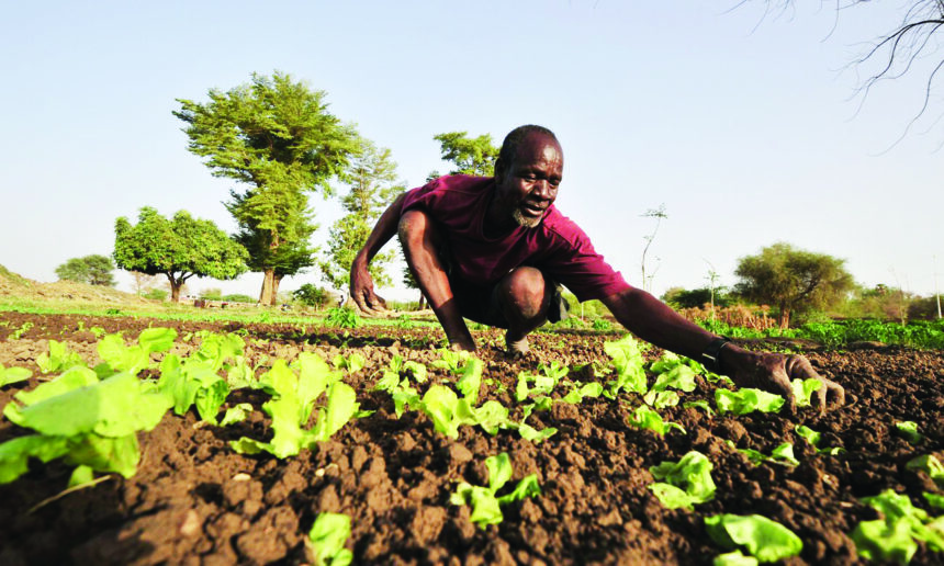 Bank Windhoek’s Agri Series to tackle drought impact 