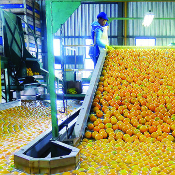 Govt to establish agro-processing plants countrywide 