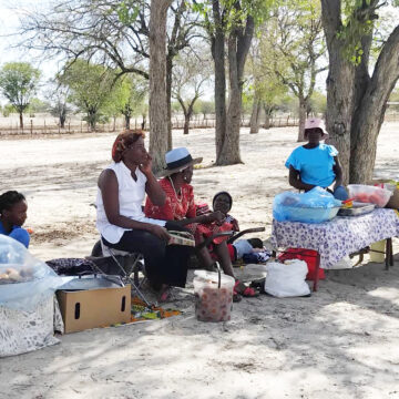 Elections create business opportunity for Oshana women