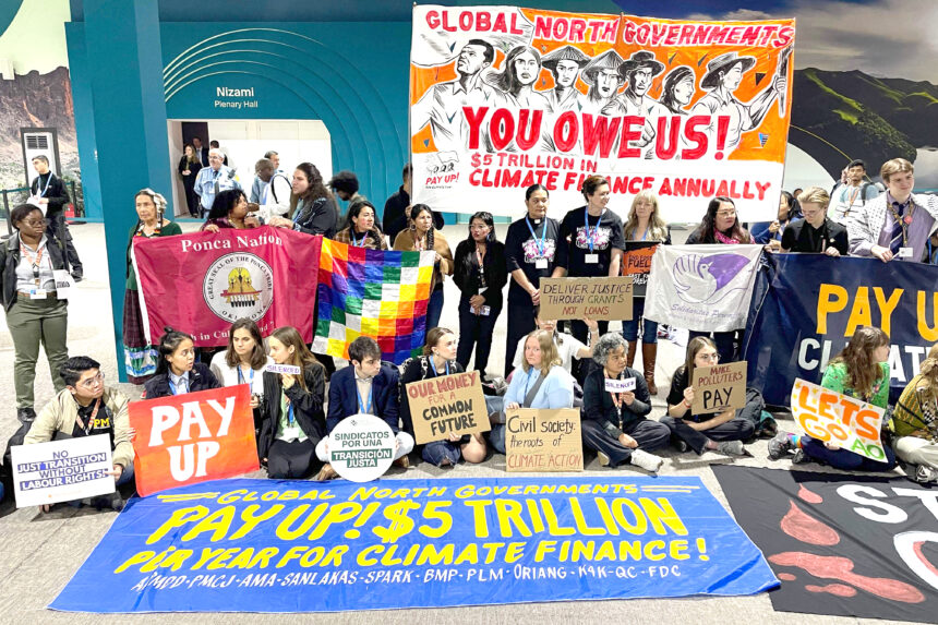 COP29 Biodiversity finance deal for ‘early 2025’