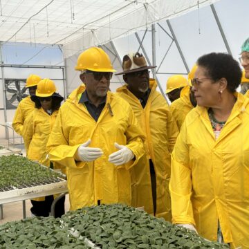 Daures Daures attacks prophets of doom … intensifies hydrogen production push