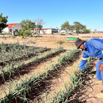 Theft undermines food security