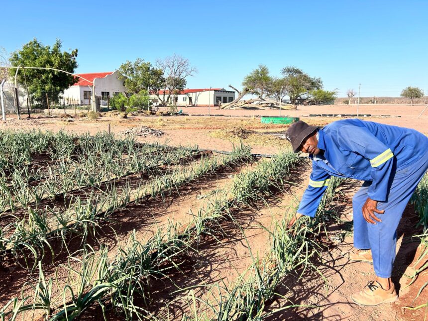 Theft undermines food security