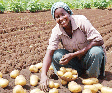 Farmers’ Kraal  with Erastus Ngaruka – The importance of enabling food self-sufficiency 