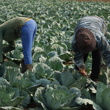 Farms Electricity 2 Schlettwein: Agri sector grossly underfunded