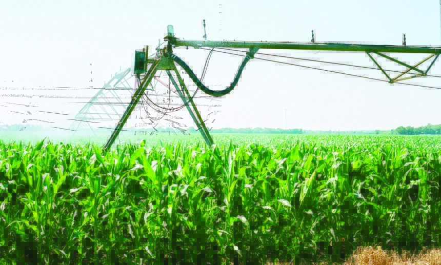 Hardap’s desperate times ….four die, 188 hospitalised with severe malnutrition      as taps run dry