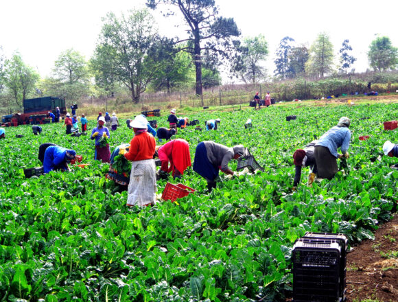 Revised resettlement criteria to be implemented  … corridor farmers, marginalised a priority 