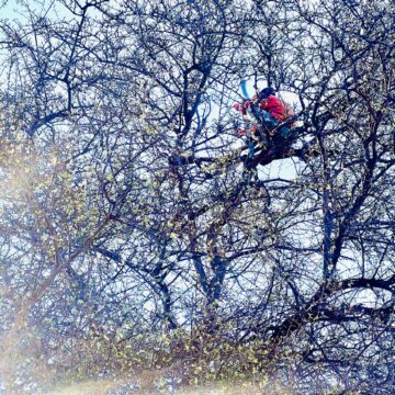 ≠Otcaqkxai cries for connection … as Govt allocates over N$100m for network woes 