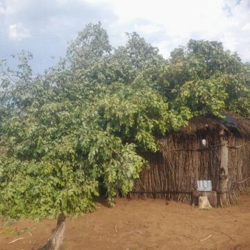 Storm destroys eight Kavango West homesteads