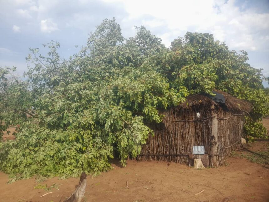 Storm destroys eight Kavango West homesteads