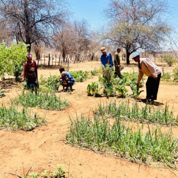 Sibbinda teacher turns to horticulture to feed community 