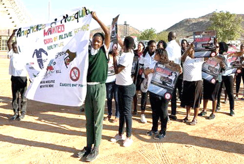 Namibia records 28 malaria deaths in 2024