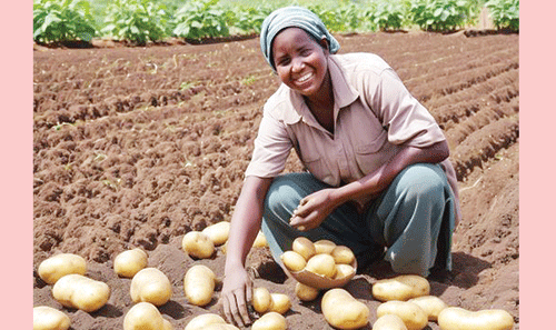 Farmers’ Kraal  with Erastus Ngaruka – The importance of enabling food self-sufficiency 