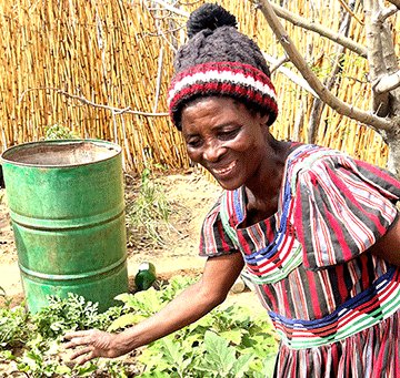 Capricorn pumps N$400 000 into malnutrition fight