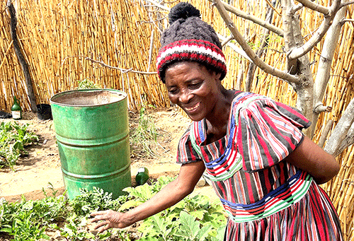 Capricorn pumps N$400 000 into malnutrition fight