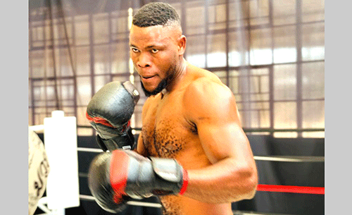 Tobias hails Sheyapo as Namibia’s next heavyweight star