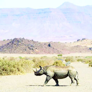 Conserve Conservancies claim small victory over mining
