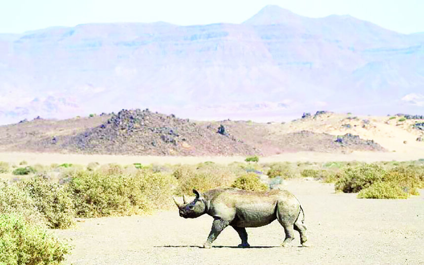 Conservancies claim small victory over mining