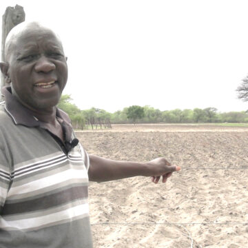 Farmer 1 Zambezi farmer holds hope for rain