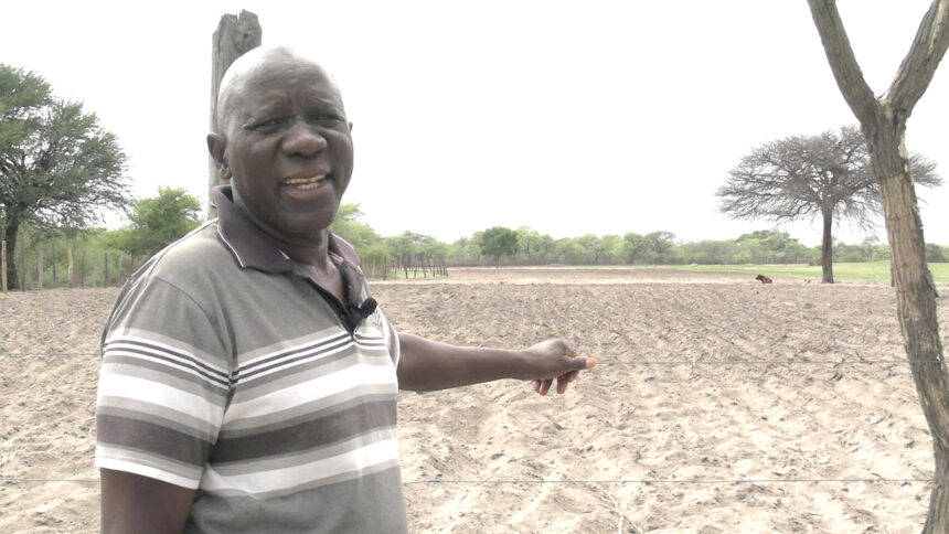 Zambezi farmer holds hope for rain