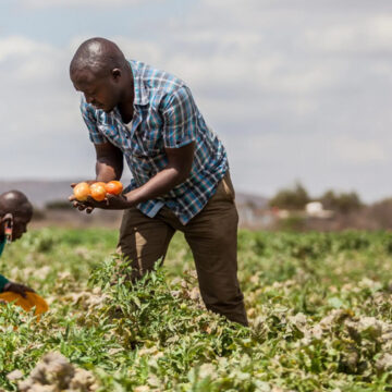 Farmers’ Kraal with guest Hanks Saisai – Make sure you register as a crop producer