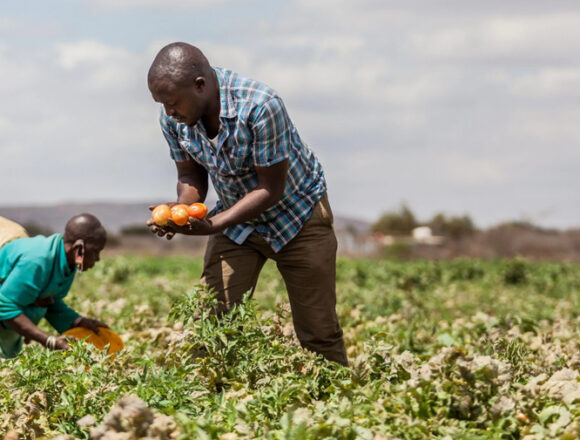 Farmers’ Kraal with guest Hanks Saisai – Make sure you register as a crop producer