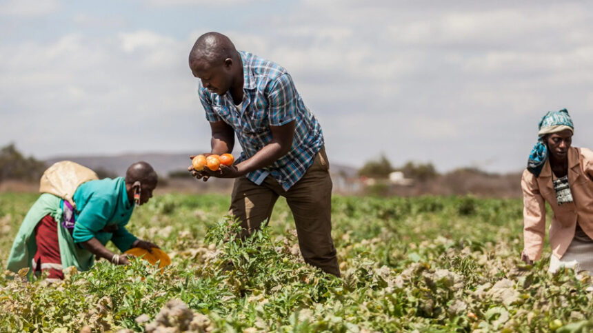 Farmers’ Kraal with guest Hanks Saisai – Make sure you register as a crop producer