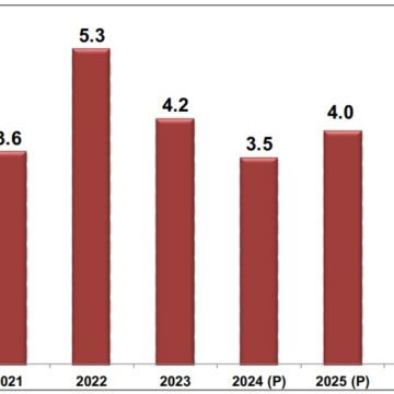 Domestic growth to slow before recovering in 2025