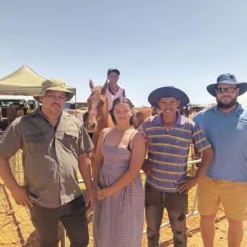 Horse Alberts: Horseracing not just for men