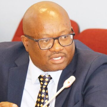 Henny Seibeb Seibeb enters lithium fray