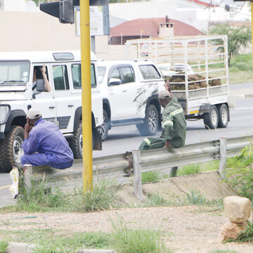 Jobless optimistic amidst despair