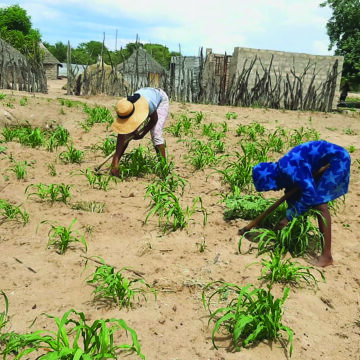 Inamu menekela vali eendingosho – Ohamba