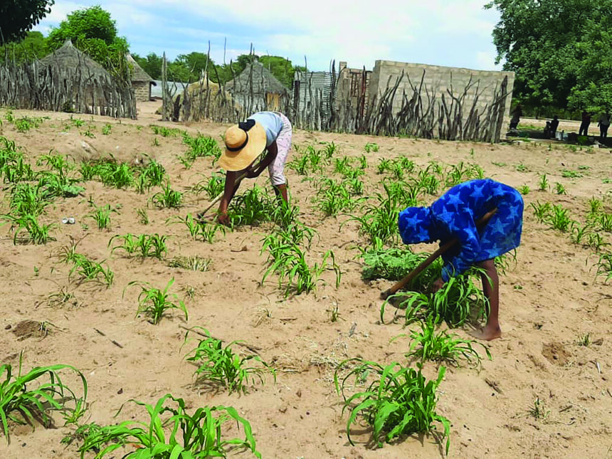 Inamu menekela vali eendingosho – Ohamba