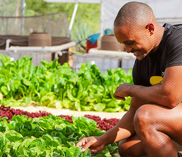 Ensuring market access for small-scale farmers 