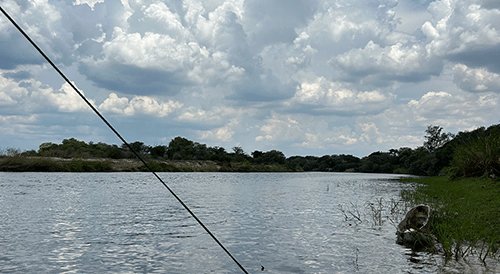 Rain Rain brings mixed fortunes for Zambezi region