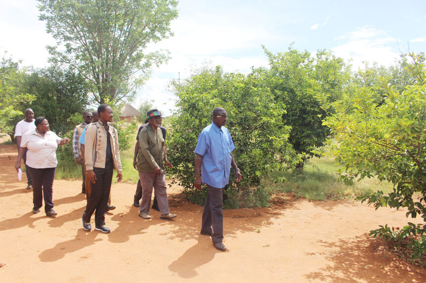 A day in Nujoma’s shoes