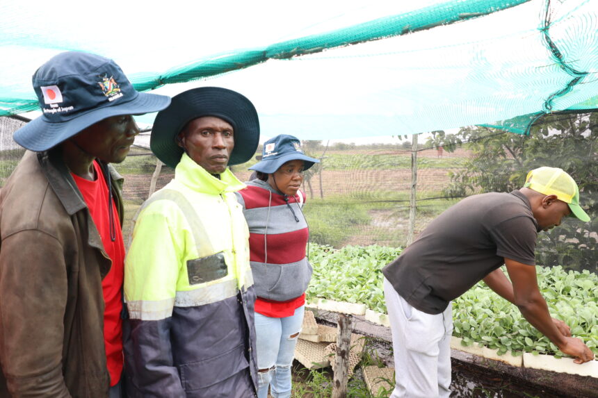 Kavango West, Omusati farmers exchange expertise  …deepened collaboration stressed 