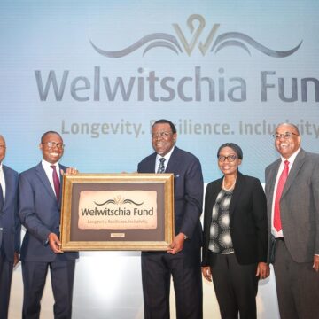 Fund Wealth fund grows steadily