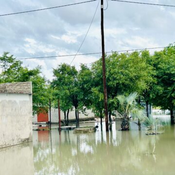 Omuloka gwa nyanyudha, yamwe ya thita po