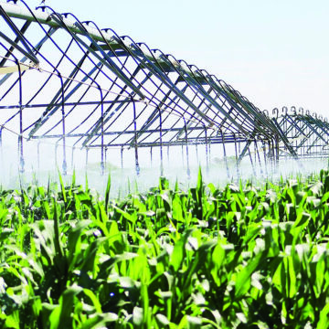 Green Schemes 1 Green schemes sprout again