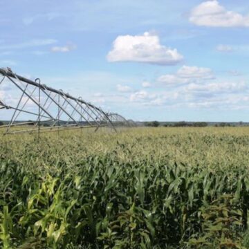 Water inflow brings hope to Hardap farmers