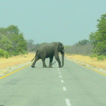 Buffer fences mooted to curb accidents